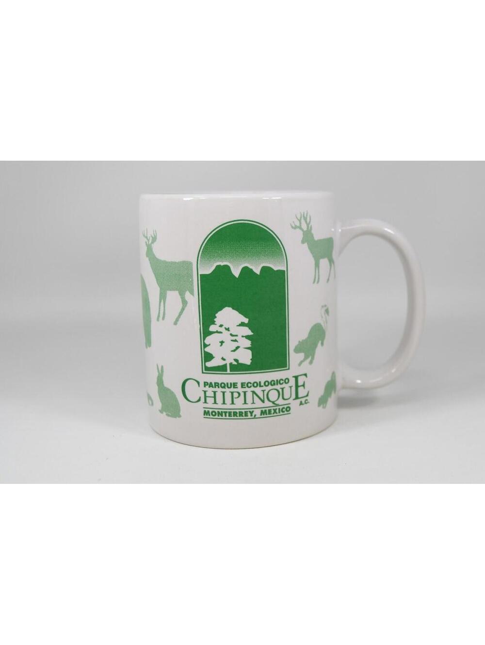 Monterrey Mexico Chipinque Ecological Park ABP Coffee Mug Cup Vintage